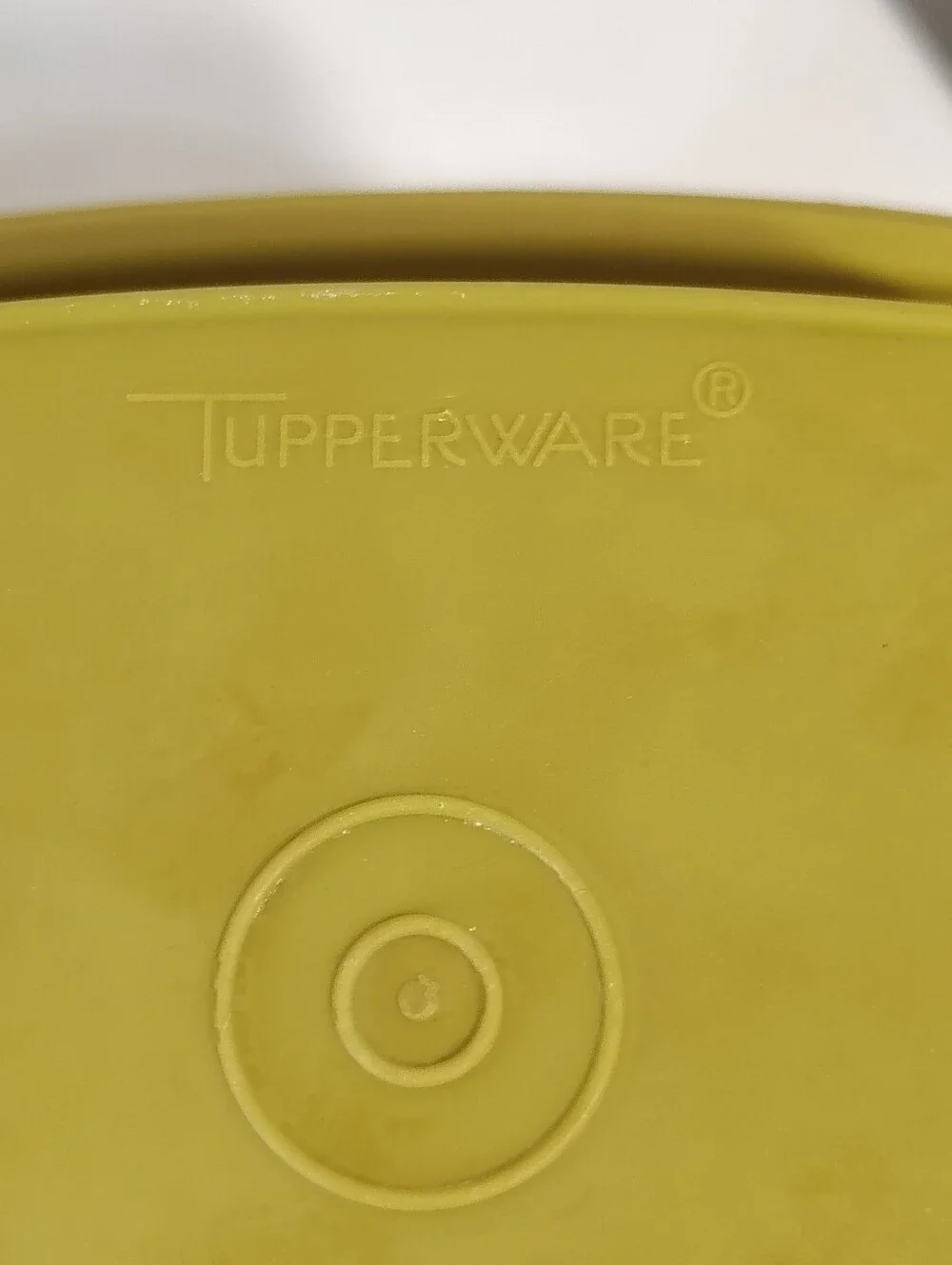 Tupperware Pickle Keeper